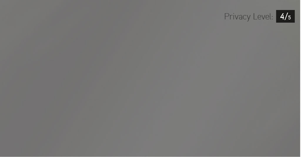 Garaga and Novatech’s Grey Sandblasted glass adds privacy and light to your garage and entry door windows